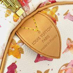 Louis Vuitton Monogram Watercolor Speedy 30 Handbag 