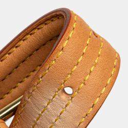 Pre Owned Louis Vuitton Brown Monogram Viva Cite MM