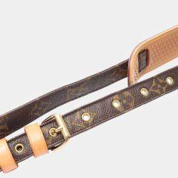 Louis Vuitton Brown Monogram Canvas Nile Shoulder Bag