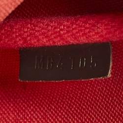 Louis Vuitton Damier Ebene Canvas Eva Pochette Bag