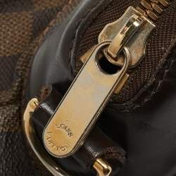 Pre Owned Louis Vuitton Damier Ebene Canvas Trevi PM Bag