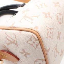 Louis Vuitton Multicolor Coated Canvas Speedy Bandouliere 20 Shoulder Bag