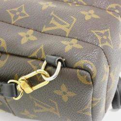 Louis Vuitton Monogram Palm Springs Mini Backpack 