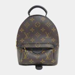 Louis Vuitton Monogram Palm Springs Mini Backpack 