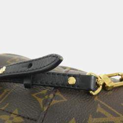 Louis Vuitton Monogram Palm Springs Mini Backpack 