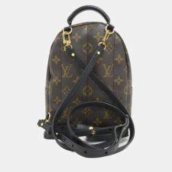 Louis Vuitton Monogram Palm Springs Mini Backpack 