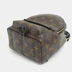 Louis Vuitton Monogram Palm Springs Mini Backpack 