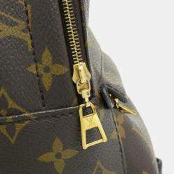 Louis Vuitton Monogram Palm Springs Mini Backpack 