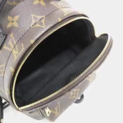 Louis Vuitton Monogram Palm Springs Mini Backpack 