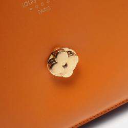 Louis Vuitton Summer Gold Smooth Calfskin LV Pont 9 Shoulder Bag