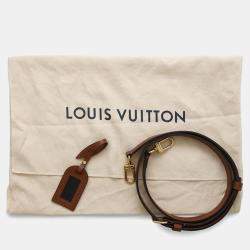 Louis Vuitton Brown Monogram V Tote BB Bag