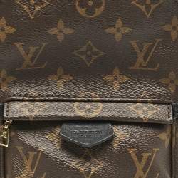 Louis Vuitton Monogram Canvas Mini Palm Springs Backpack