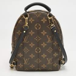 Louis Vuitton Monogram Canvas Mini Palm Springs Backpack