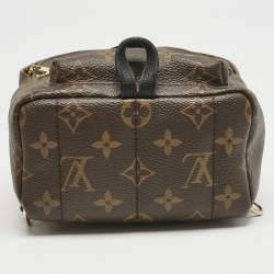 Louis Vuitton Monogram Canvas Mini Palm Springs Backpack