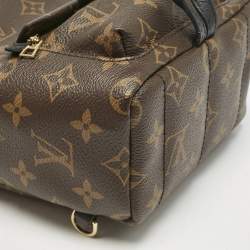Louis Vuitton Monogram Canvas Mini Palm Springs Backpack