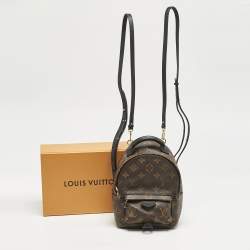 Louis Vuitton Monogram Canvas Mini Palm Springs Backpack