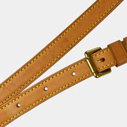 Louis Vuitton Brown Monogram Canvas Tambourine Shoulder Bag