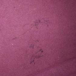 Pre Owned Louis Vuitton Tassil Yellow Epi Leather Petit Noe Bag