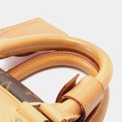 Louis Vuitton Brown Monogram Canvas Evasion Handbag