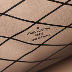 Louis Vuitton   Canvas Reverse Monogram Trunk Clutch Bag