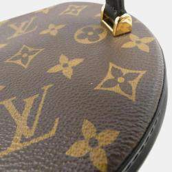 Pre Owned Louis Vuitton Brown/Black Monogram Reverse Cannes Handbag