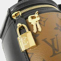 Pre Owned Louis Vuitton Brown/Black Monogram Reverse Cannes Handbag