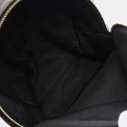 Louis Vuitton Brown Coated Canvas Leather Monogram Palm Springs Backpack 