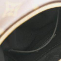 Louis Vuitton Brown Canvas Monogram Palm Springs Mini Backpack