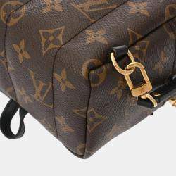 Louis Vuitton Brown Canvas Monogram Palm Springs Mini Backpack