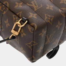 Louis Vuitton Brown Canvas Monogram Palm Springs Mini Backpack