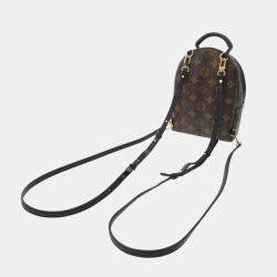Louis Vuitton Brown Canvas Monogram Palm Springs Mini Backpack