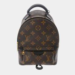 Louis Vuitton Brown Canvas Monogram Palm Springs Mini Backpack