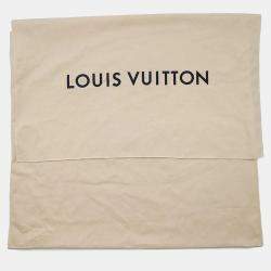 Louis Vuitton Monogram Reverse Canvas PM Palm Springs Backpack 