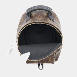 Louis Vuitton Palm Springs Backpack Noir Monogram Size Mini