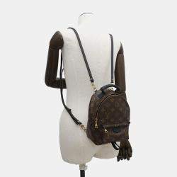 Louis Vuitton Palm Springs Backpack Noir Monogram Size Mini
