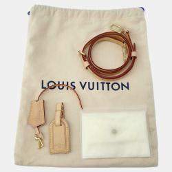 Louis Vuitton Brown Monogram Canvas Camera Box Bag