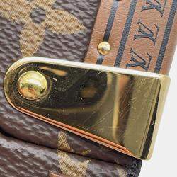Louis Vuitton Brown Monogram Canvas Camera Box Bag