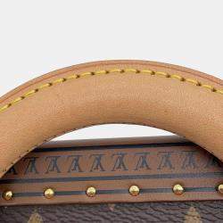 Louis Vuitton Brown Monogram Canvas Camera Box Bag