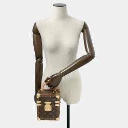 Louis Vuitton Brown Monogram Canvas Camera Box Bag