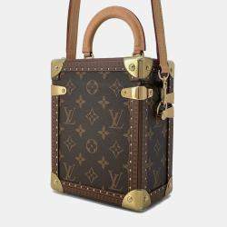 Louis Vuitton Brown Monogram Canvas Camera Box Bag