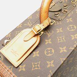 Louis Vuitton Brown Monogram Cotteville 45