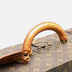 Louis Vuitton Brown Monogram Cotteville 45