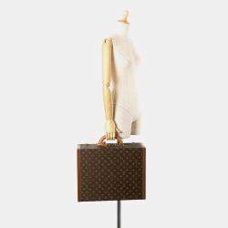 Louis Vuitton Brown Monogram Cotteville 45