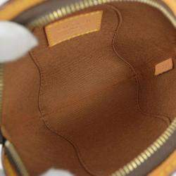 Louis Vuitton Monogram Canvas Mini Ellipse Pouch Bag