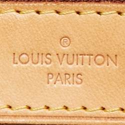 Louis Vuitton Monogram Canvas Delightful MM Bag