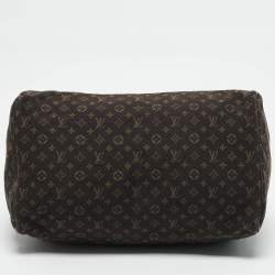 Louis Vuitton Fusain Monogram Mini Lin Canvas Speedy 30 Bag