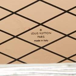 Louis Vuitton Silver/Gold Epi Leather Petite Malle Bag