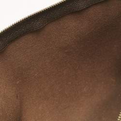Louis Vuitton Monogram Canvas Eva Pochette Bag