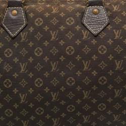Louis Vuitton Fusain Monogram Mini Lin Canvas Speedy 30 Bag