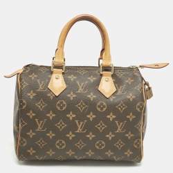 Louis Vuitton Monogram Canvas Speedy 25 Bag